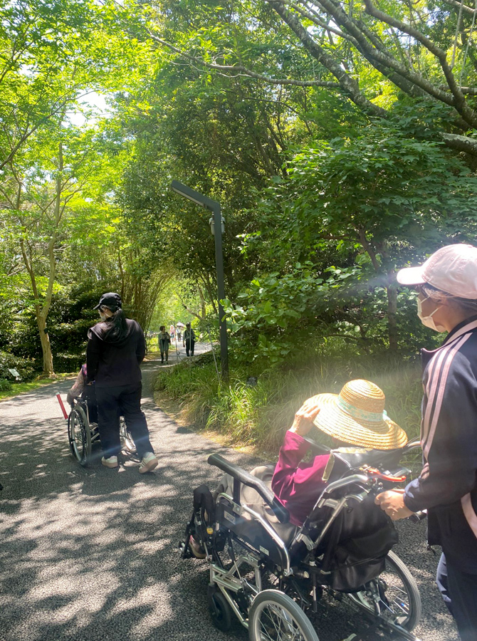 画像：家庭菜園