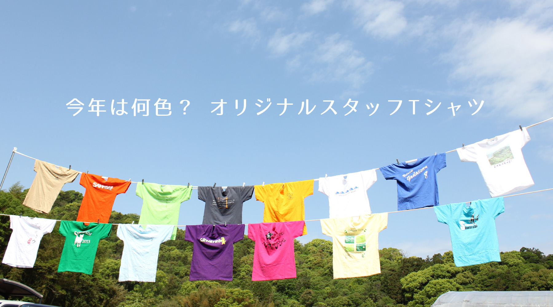 今年は何色？オリジナルスタッフTシャツ