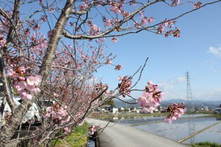 20140327134930.JPG