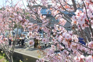 20140401183909.JPG