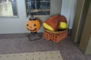 20181109135957.JPG