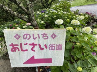 20240612095317.JPG